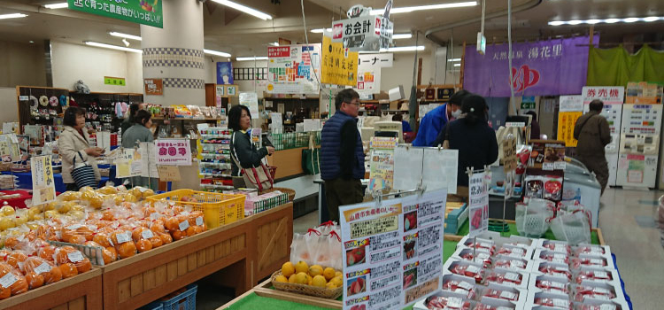 カテゴリ:おすすめ情報